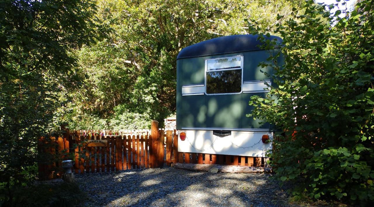 Showman'S Wagon At Coed Cae Penmaenpool Экстерьер фото